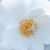 Alb - Trandafir pentru straturi Polyantha - Milly™